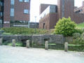 university of limerick - old bridge on campus.jpg